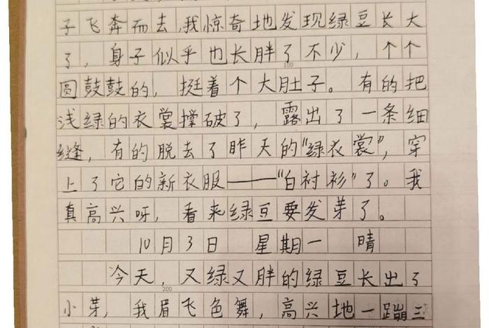 观察生活日记1000字 - 观察生活日记怎么写