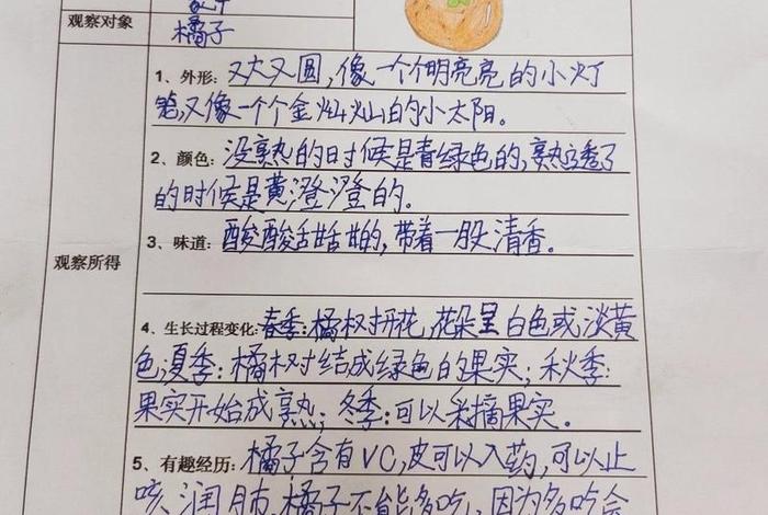 生活观察记录与分析、生活观察记录分析与措施三年级语文