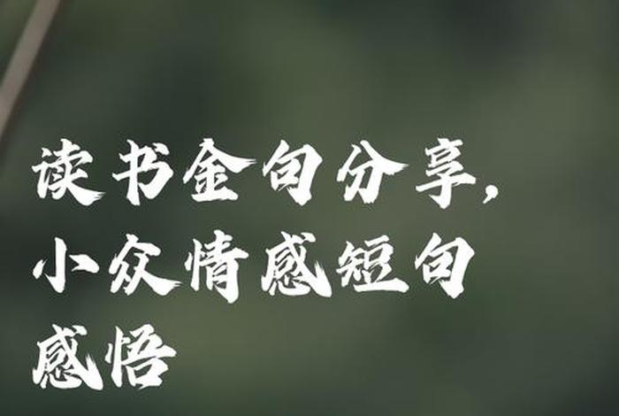 生活与读书的感悟（生活与读书的感悟句子）