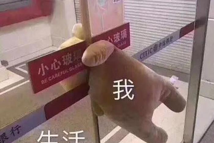 生活表情包在哪里找 - 生活的表情包