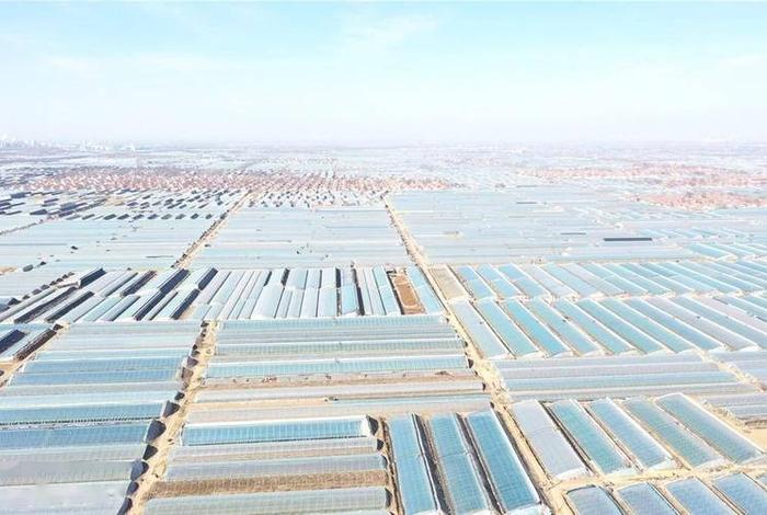 寿光生活水平怎么样（寿光人富不富）