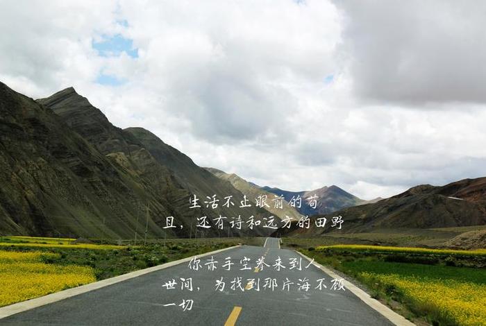 生活不止眼前的苟且 生活不止眼前的苟且还有明天和后天的苟且