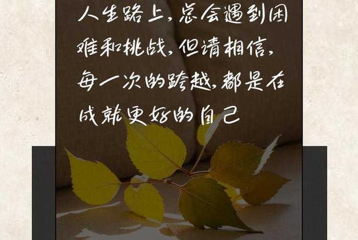 关于生活的经典语录摘抄（关于生活的经典语录扎心）