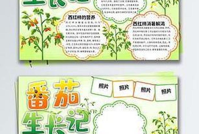 茄子生长过程图片示意图、茄子生长过程图片 简笔画 茄子生长过程图片示意图、茄子生长过程图片 简笔画