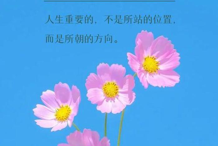 有冲劲的正能量句子 有冲劲的正能量句子早上