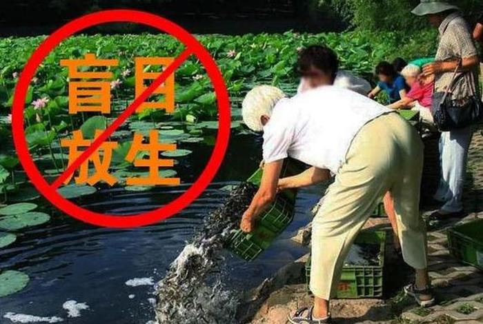 放生活动的操作模式;最简单最有效的放生仪式 放生活动的操作模式;最简单最有效的放生仪式