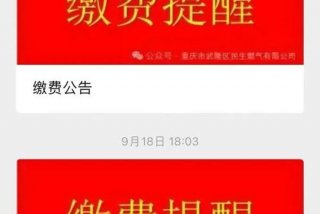 一品生活燃气缴费（一县一品燃气）