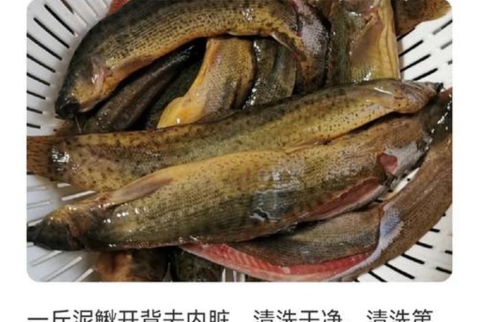 泥鳅生活要求温度是多少 - 泥鳅适应的温度范围 泥鳅生活要求温度是多少 - 泥鳅适应的温度范围