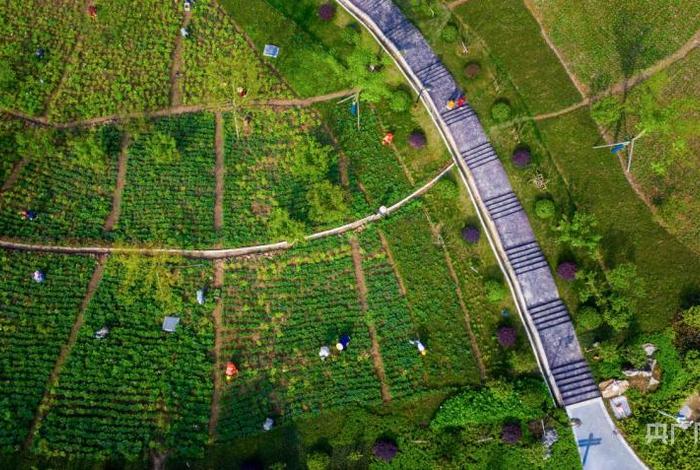 萍乡生态复绿最新消息；萍乡生态园