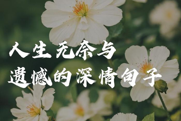 生活无奈的说说带图、生活无奈的图片带字