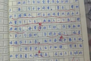 1～3年级日记 1～3年级日记简单