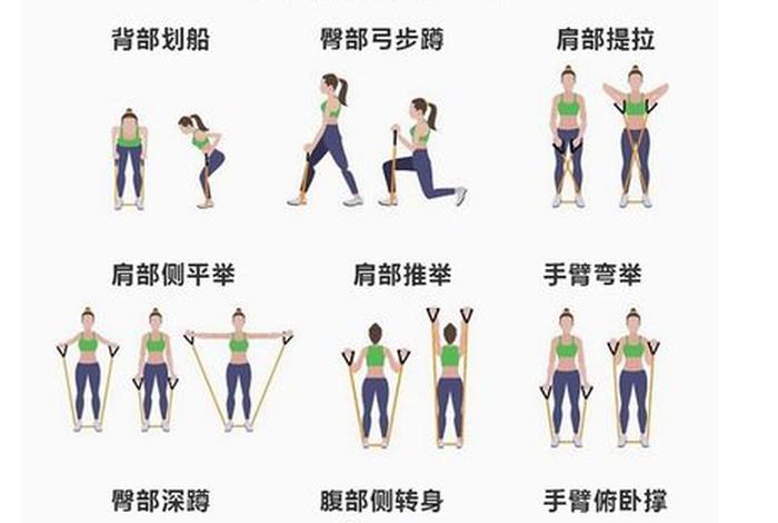 健身绳;健身绳索器械介绍 健身绳;健身绳索器械介绍