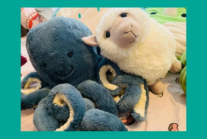 诸葛胖的幸福生活、诸葛肥羊