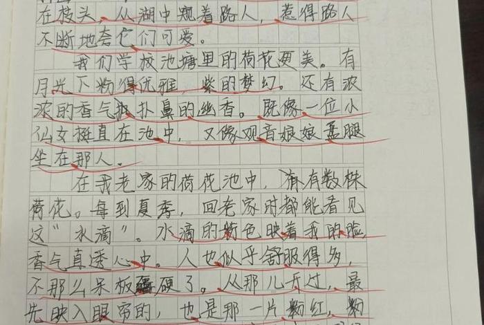 600生活中的结 生活中的结小练笔 600生活中的结 生活中的结小练笔