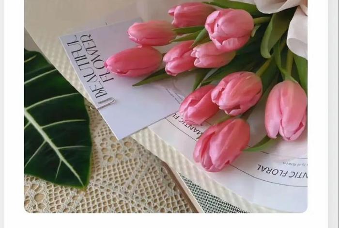 生活教会了我所有句子 生活教会了我文案 生活教会了我所有句子 生活教会了我文案