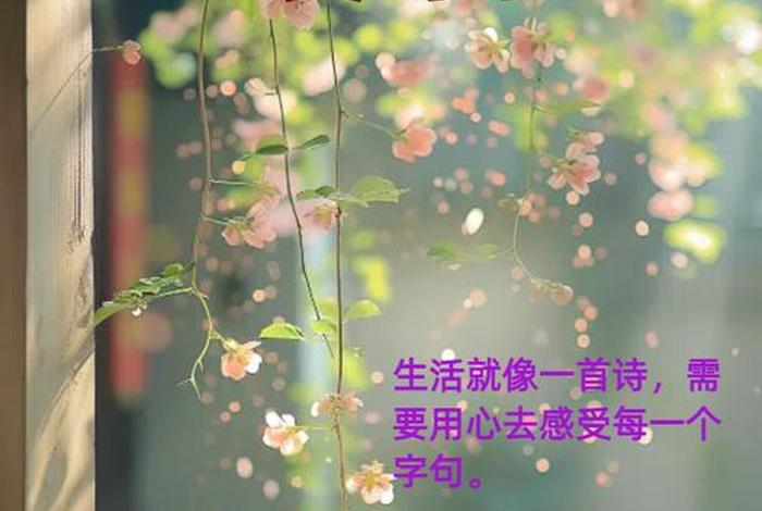 追求美好生活的人 - 追求美好生活的句子 追求美好生活的人 - 追求美好生活的句子