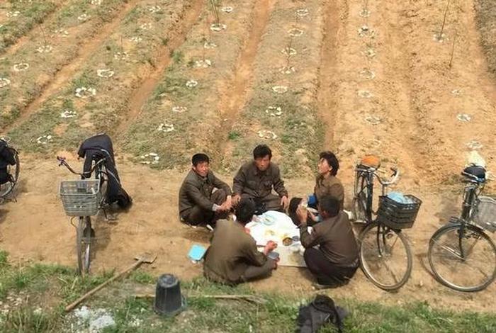 朝鲜农村生活真实现状视频,朝鲜农村生活真实现状视频大全 朝鲜农村生活真实现状视频,朝鲜农村生活真实现状视频大全