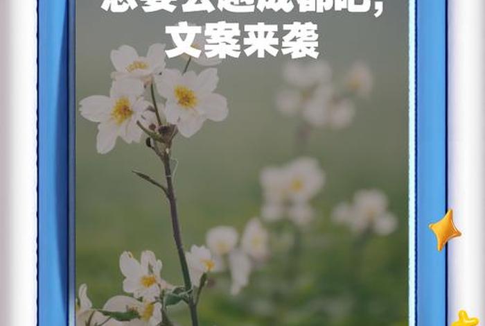 成都慢生活的说说，成都慢生活文案