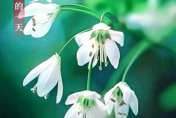 早安生活葛饰北斋;早安生活图片大全 早安生活葛饰北斋;早安生活图片大全