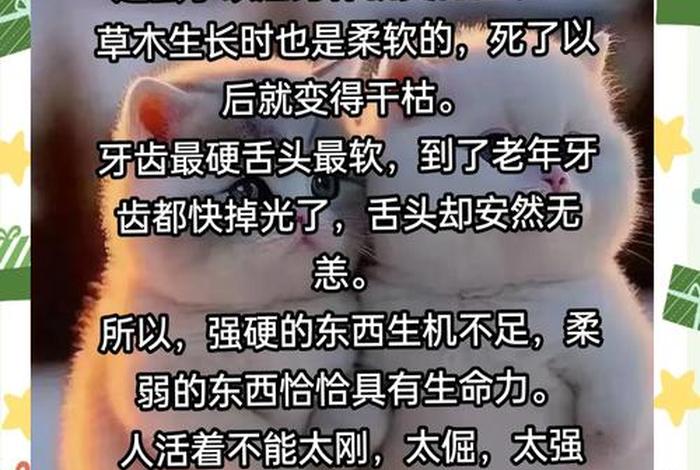 生活还需要刚性之外的柔软地带；生活需要任性