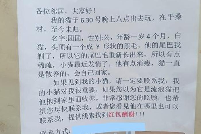 爱猫生活申请，爱猫生活申请理由怎么写