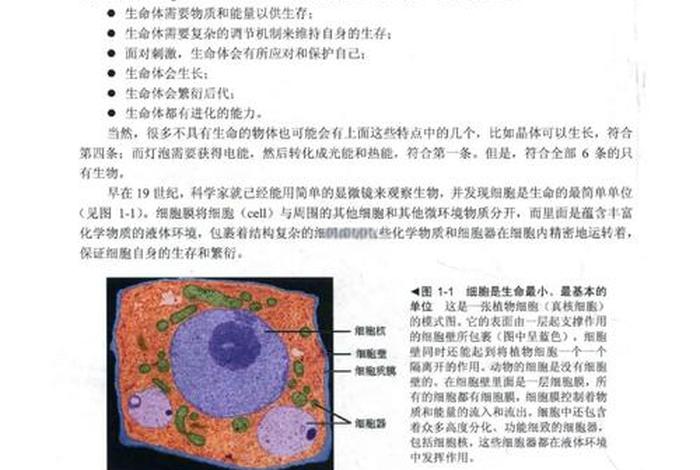 生物与生活书籍 生物学与生活在线阅读 生物与生活书籍 生物学与生活在线阅读
