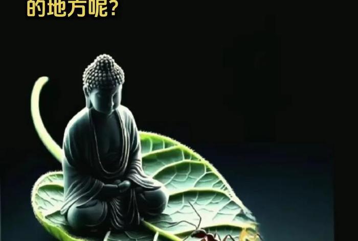 禅的生活环境及特征；禅的基本特征