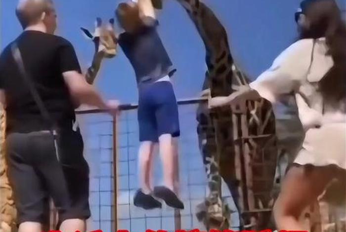 生活中的幽默合集；生活里的幽默