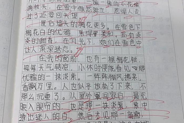 600生活中的结 生活中的结小练笔 600生活中的结 生活中的结小练笔