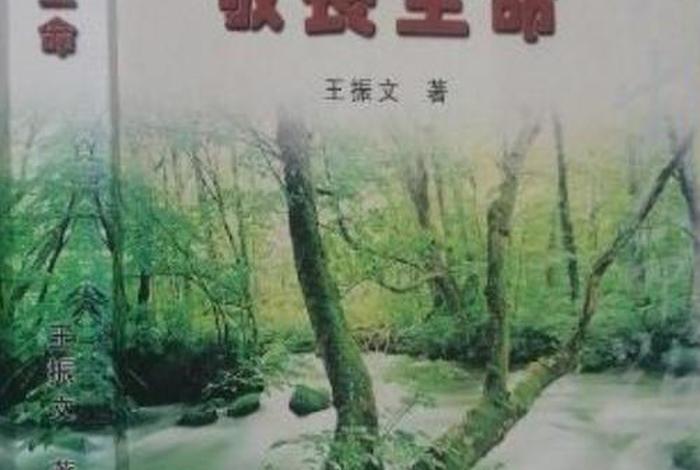 敬畏生活敬畏生命，敬畏生命下一句是什么