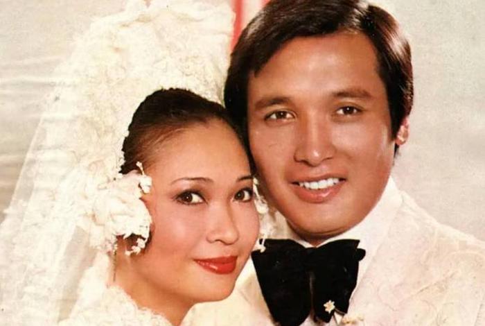 芳芳幸福 芳芳幸福的生活全文在线阅读