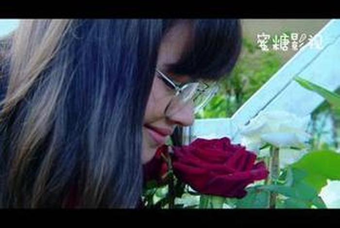 幸福甜蜜生活全12集 《幸福甜蜜生活》 幸福甜蜜生活全12集 《幸福甜蜜生活》