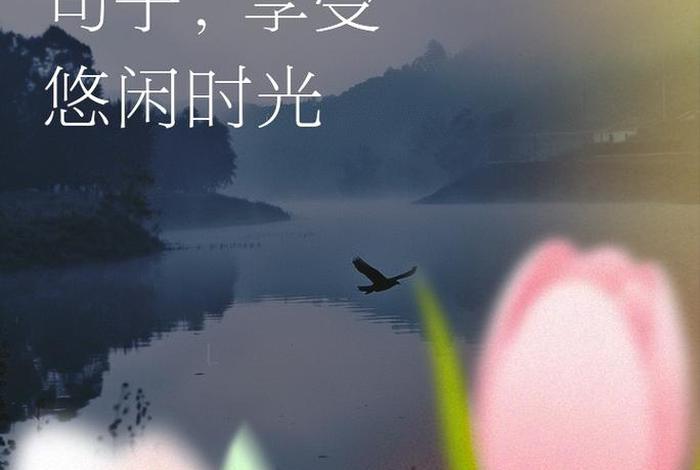 最悠闲的生活图片、最悠闲的人,打一诗句