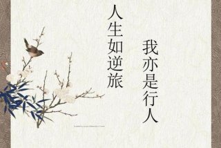 享受美好生活的诗句，享受生活美好的句子唯美简短