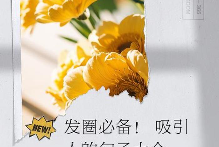 朋友圈精致生活句子、朋友圈精致生活句子图片 朋友圈精致生活句子、朋友圈精致生活句子图片