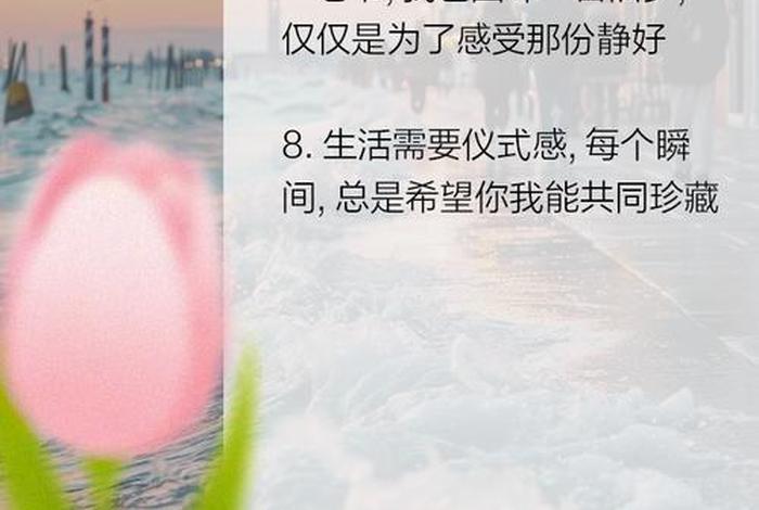 悲催生活中的仪式感 生活中充满仪式感的故事 悲催生活中的仪式感 生活中充满仪式感的故事