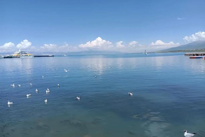 青海生活对人体的好处，青海生活环境