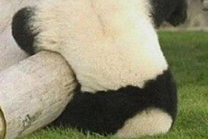 生活和我的表情包、生活跟我的表情包 生活和我的表情包、生活跟我的表情包