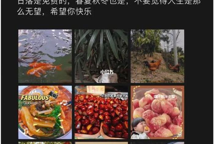分享生活感受、分享生活的话