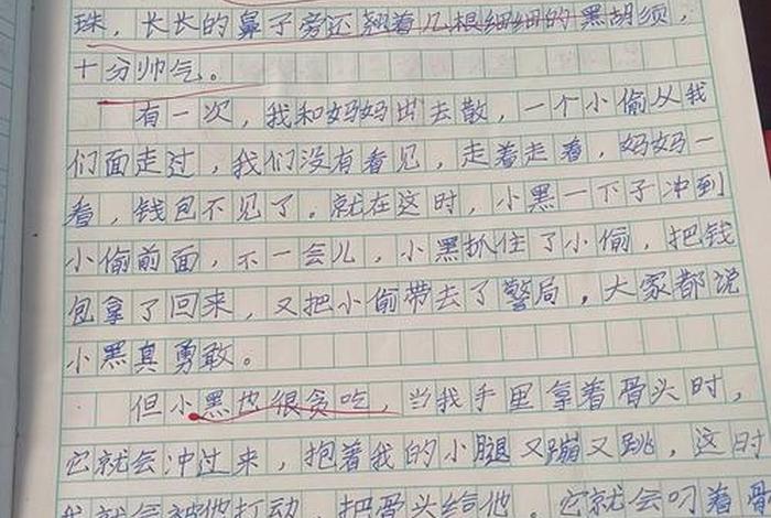 三年级作文观察生活小片段 - 三年级小学生观察作文大全 三年级作文观察生活小片段 - 三年级小学生观察作文大全