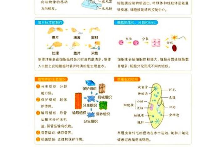 生物与生活的关系举例子 生物与生活的关系举例子有哪些 生物与生活的关系举例子 生物与生活的关系举例子有哪些