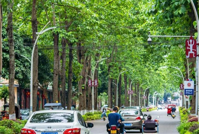 慢生活的城市视频;慢生活的城市视频大全 慢生活的城市视频;慢生活的城市视频大全