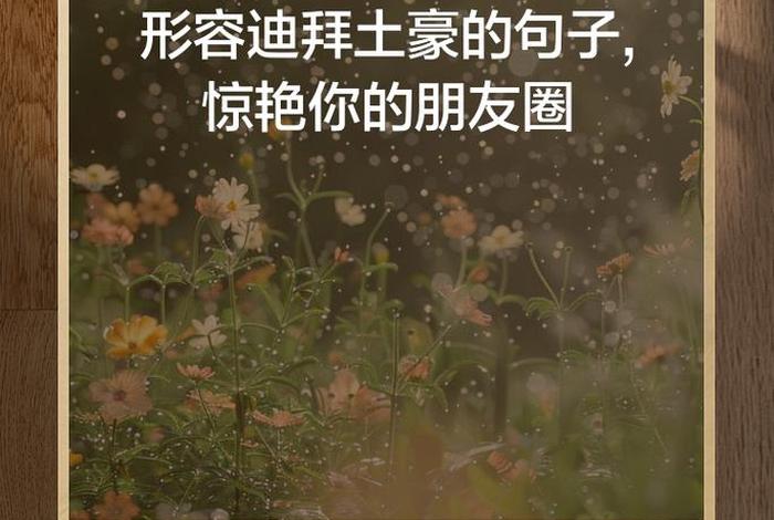 土豪的生活句子，土豪的生活句子有哪些