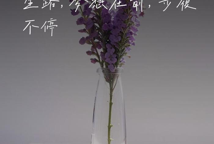 生活感悟的图片 励志 - 生活感悟图片带字图片 经典 生活感悟的图片 励志 - 生活感悟图片带字图片 经典