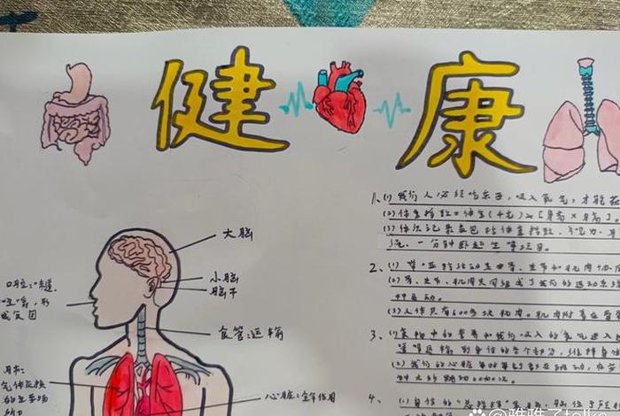 健康生活知识先行内容 健康知识生活手抄报 健康生活知识先行内容 健康知识生活手抄报
