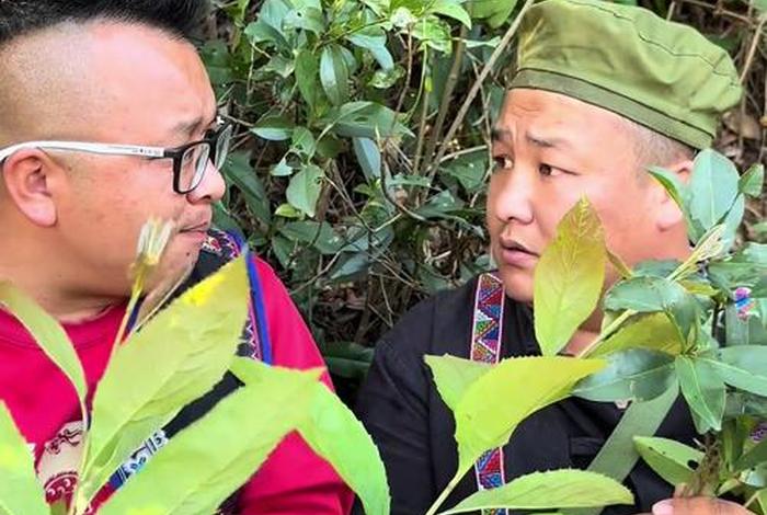 阿兵的生活正值十月下旬天气 炎热（阿兵的日生活）