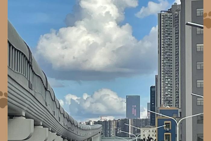 深圳生活条件怎么样 深圳生活条件怎么样啊 深圳生活条件怎么样 深圳生活条件怎么样啊