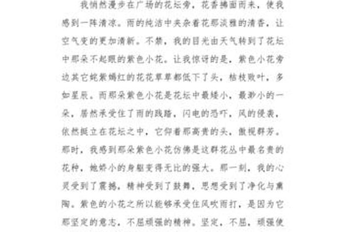 我眼中的生活自然艺术美 我眼中的生活之美作文500字