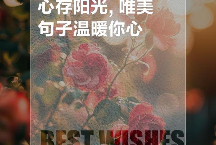 阳光生活的句子说说心情、充满阳光的经典生活句子,句句暖心