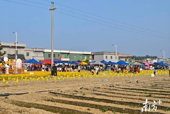 生活地带恩平；恩平文化生活